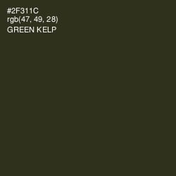 #2F311C - Green Kelp Color Image